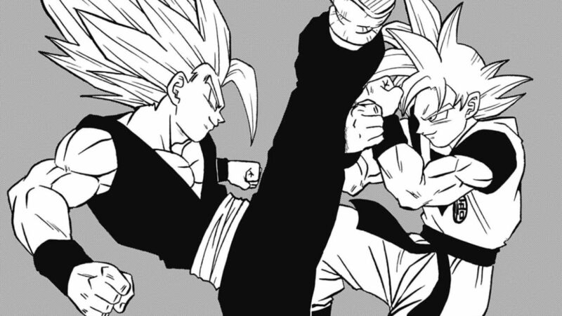 Nouveau chapitre de Dragon Ball Super : le combat continue