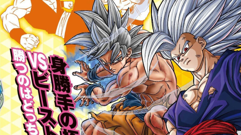 Dragon Ball Super : Pause à venir pour le manga mythique
