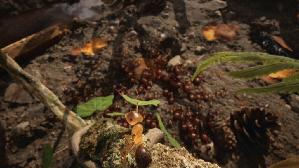 Les Fourmis : les dernières nouvelles de l'adaptation