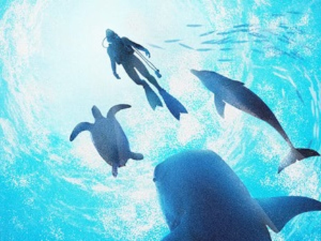 Un gros trailer pour Endless Ocean Luminous
