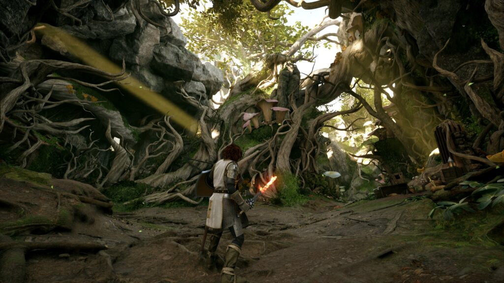 Avowed pourrait dépasser les 30fps sur xbox series