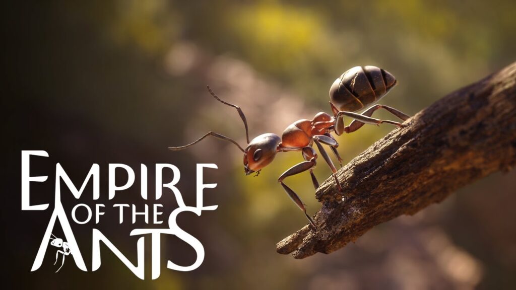 Les Fourmis : un contenu riche prévu pour 2025