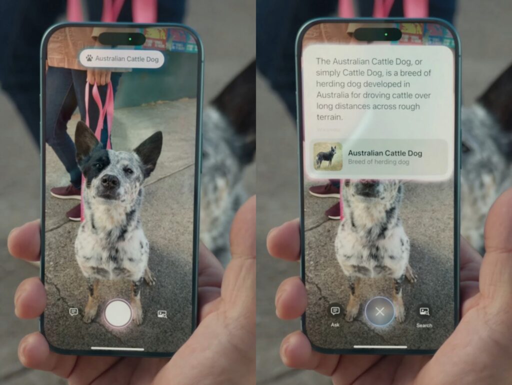 L'intelligence visuelle bientôt disponible sur iphone 15 pro