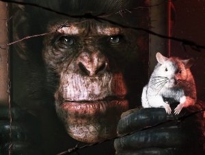 Animal use protocol : aperçu du gameplay avant sa sortie en 2026
