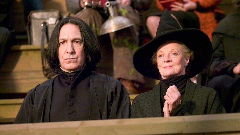 Casting de la série harry potter : paapa essiedu et janet mcTeer annoncés