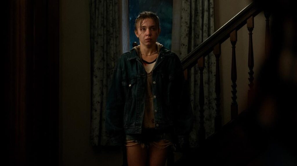 Echo valley : thriller avec sidney sweeney et julianne moore