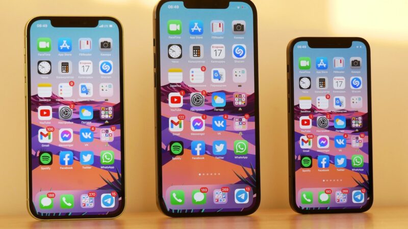 Apple ne lancera pas de nouvel iphone mini