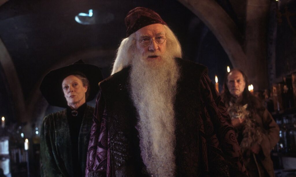 Casting officiel de la nouvelle série Harry Potter révélé