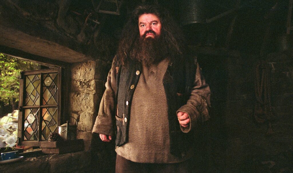 Nick Frost partage sa vision du rôle d'Hagrid dans la série Harry Potter
