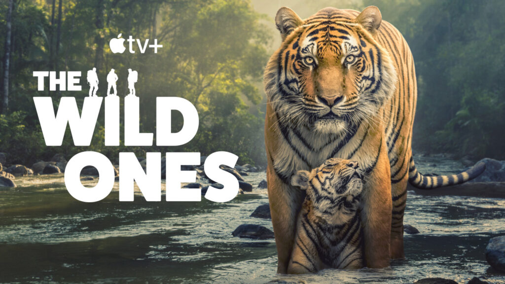 L'aventure sauvage, la série documentaire animalière sur apple tv+