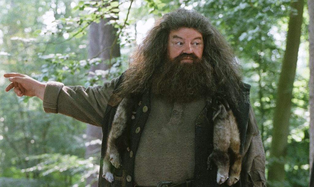 Hbo présente un aperçu de hagrid dans la nouvelle série harry potter