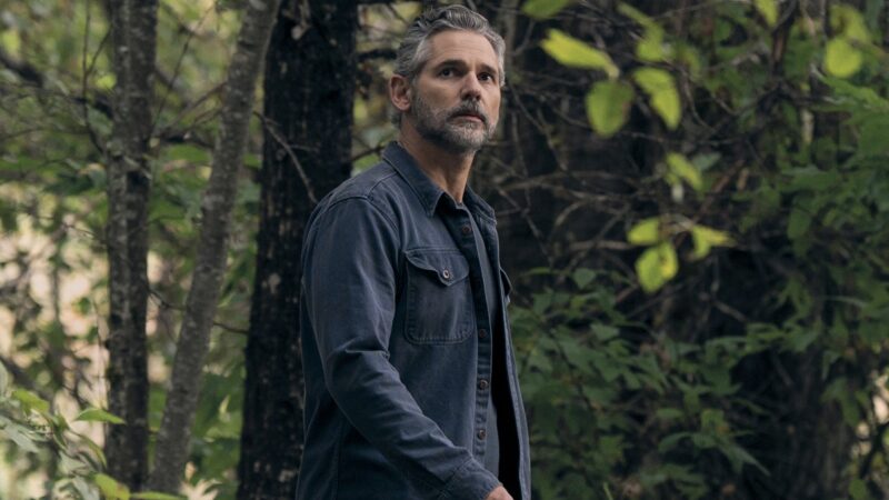 La série une nature sauvage aura une saison 2 sur netflix