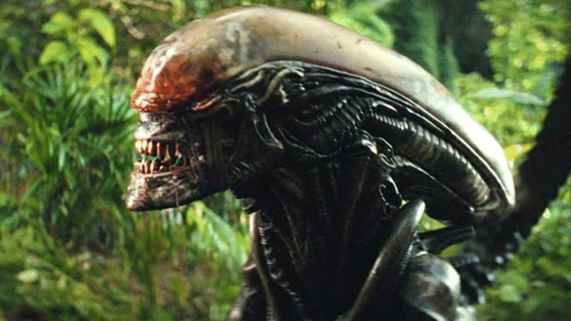 Un xénomorphe à la lumière du jour dans alien: earth