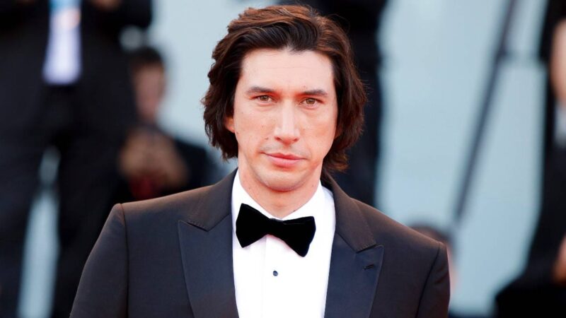 Adam driver dans rabbit rabbit, la nouvelle série netflix