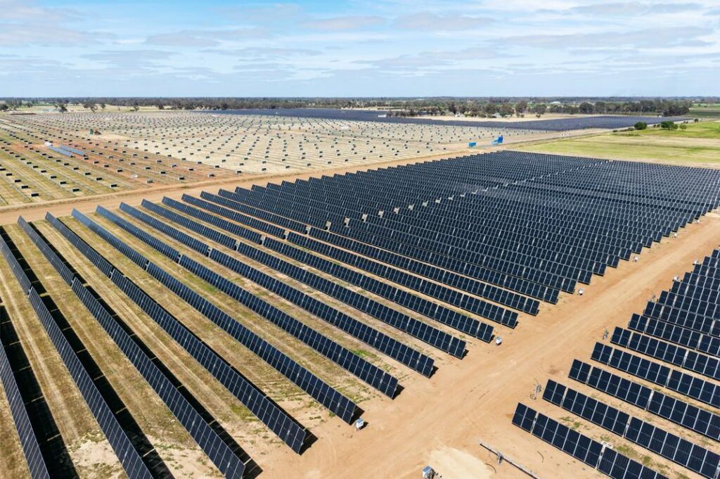 Apple investit dans la restauration des forêts en nouvelle-zélande