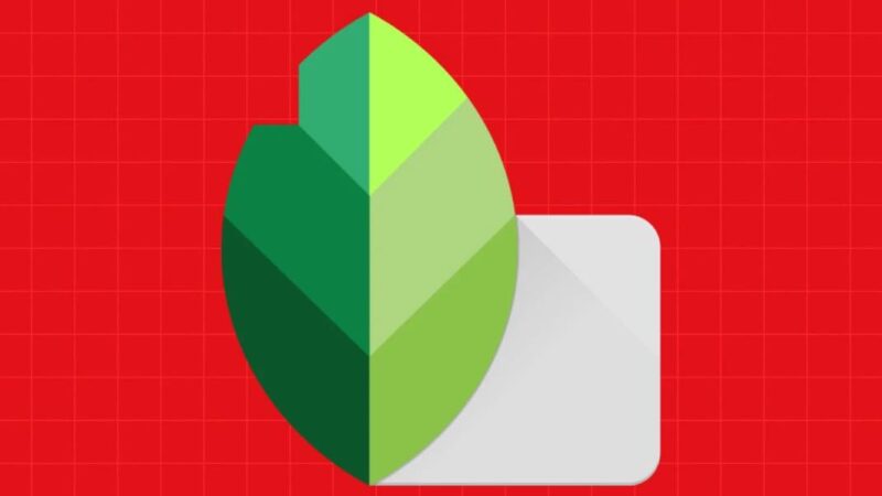 Snapseed sur iphone : google introduit une caméra avancée
