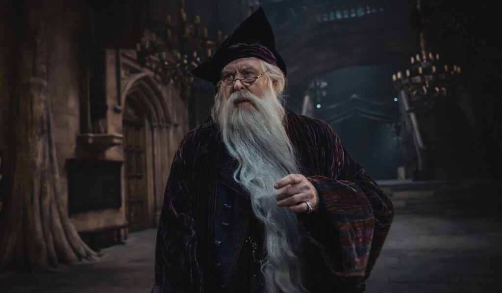 La série harry potter bat un record de visionnages