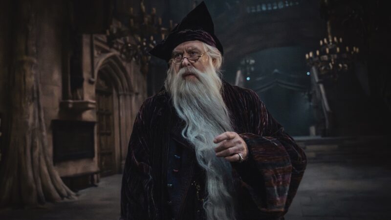 La série harry potter bat un record de visionnages
