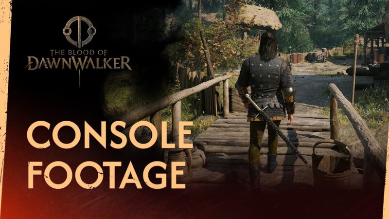 The blood of dawnwalker en 60fps sur consoles